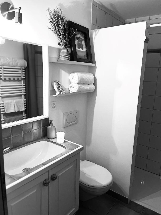 Chalet Apartment Serenity Lodge 沙尔梅 外观 照片