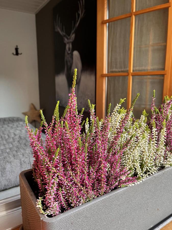 Chalet Apartment Serenity Lodge 沙尔梅 外观 照片